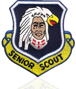 Scout Patches